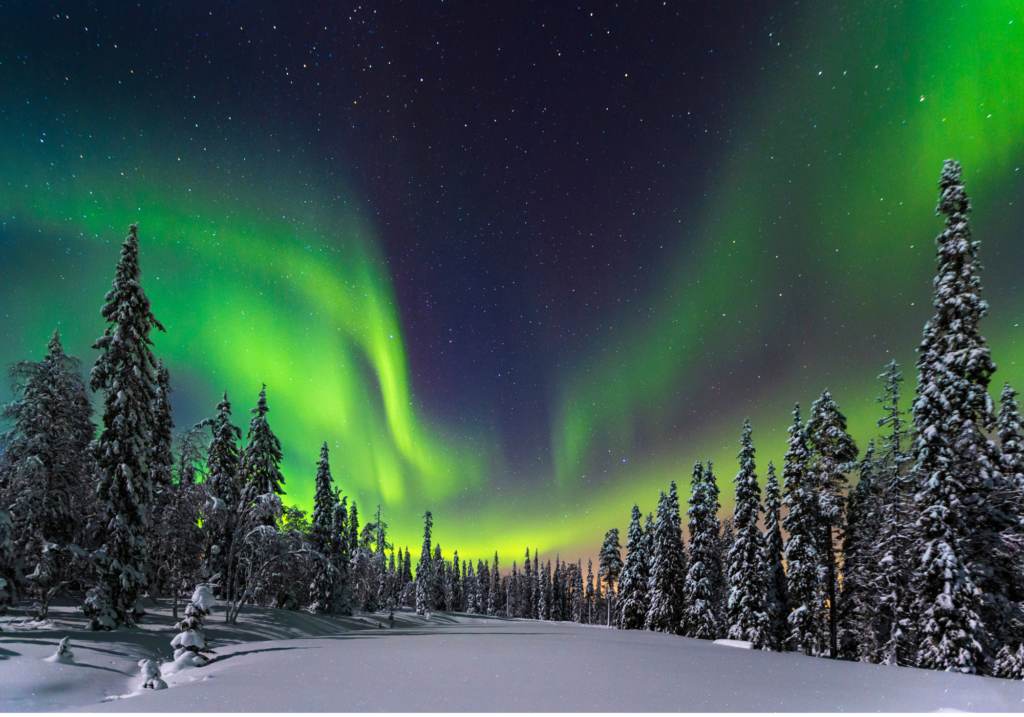 ver auroras boreales experiencia única naturaleza
