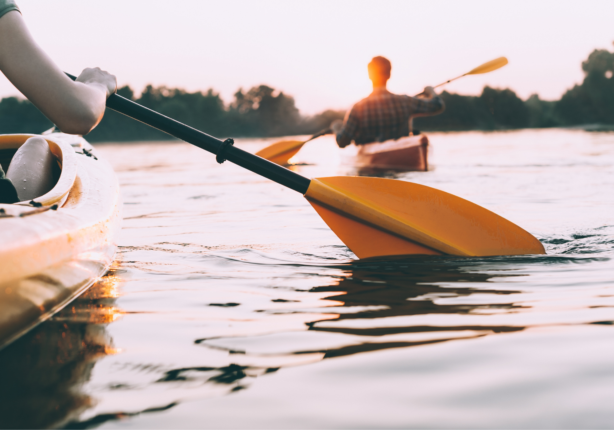 experiencias de viaje únicas en la naturaleza