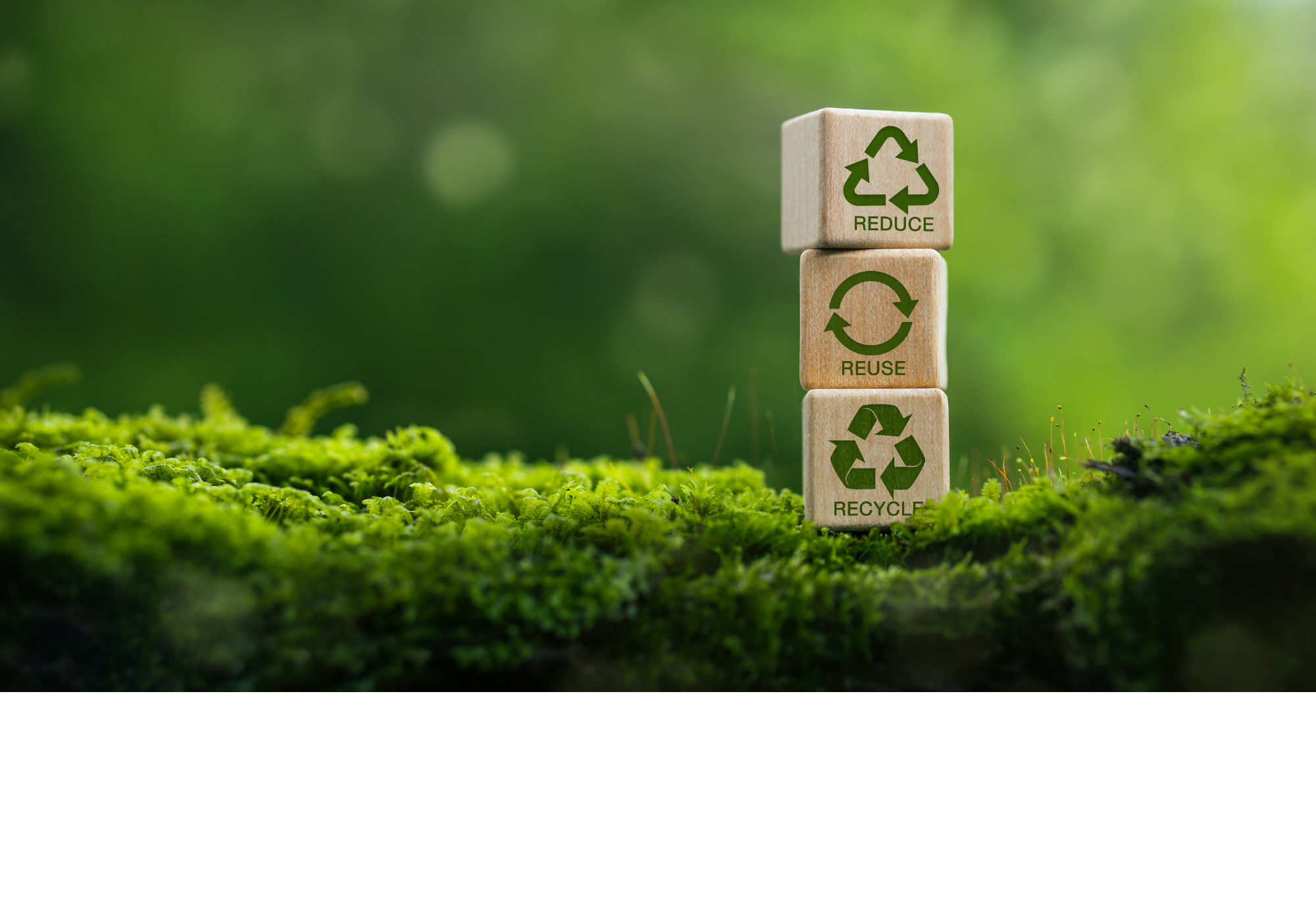 material de viaje compartido entre viajeros