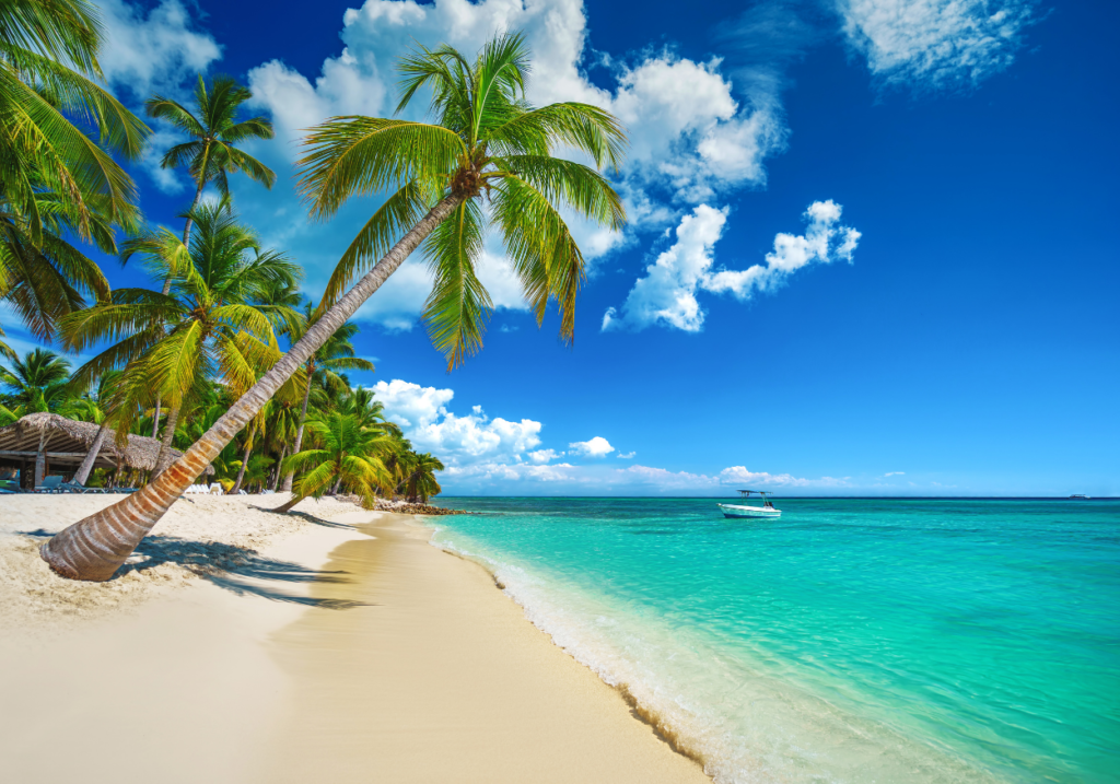 playa bavaro punta cana republica dominicana