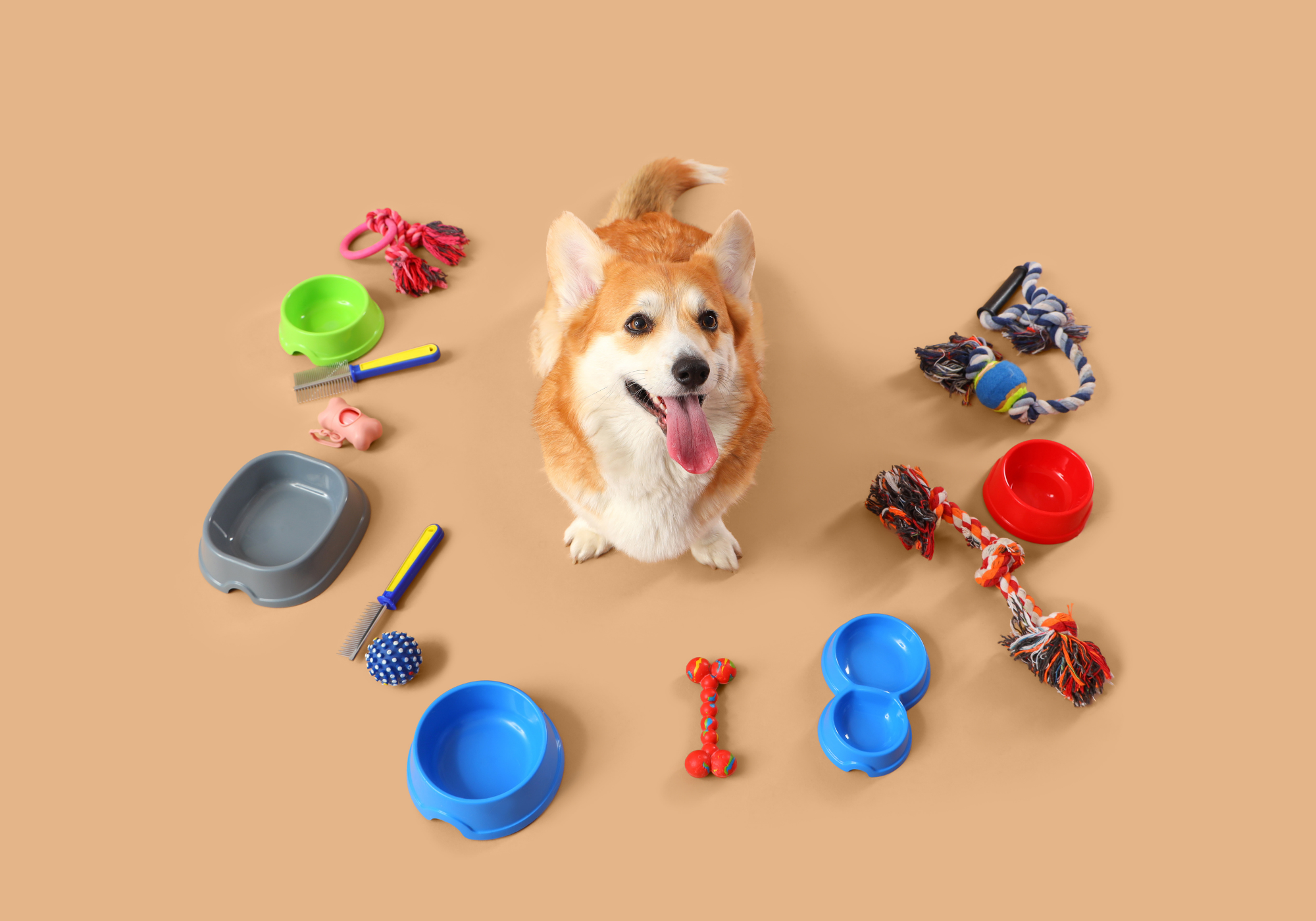 productos y accesorios para tu mascota