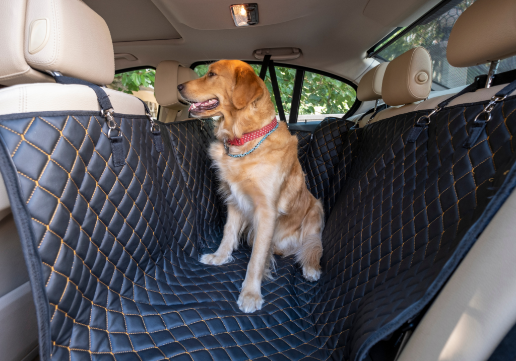 protector asientos coche