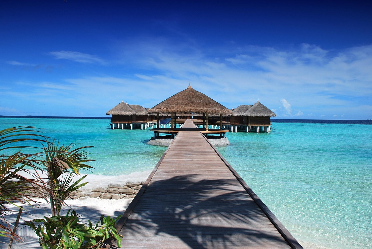 Maldivas: resort vs isla local — qué elegir según tu viaje beach, resort, jetty, pier, boardwalk, huts, maldives, bungalows, beach bungalows, beach resort, tropical island, holiday, ocean, nature, sand, water, summer, shore, rest, beach, beach, beach, beach, maldives, maldives, maldives, maldives, maldives, summer
