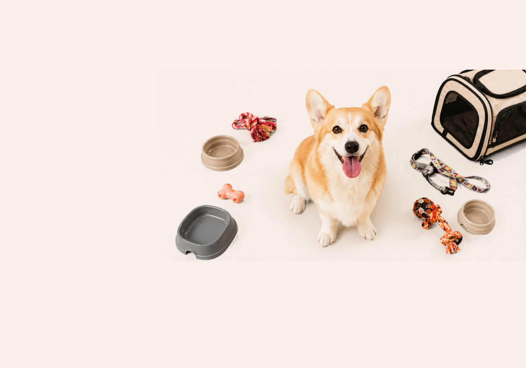productos y accesorios para tu mascota